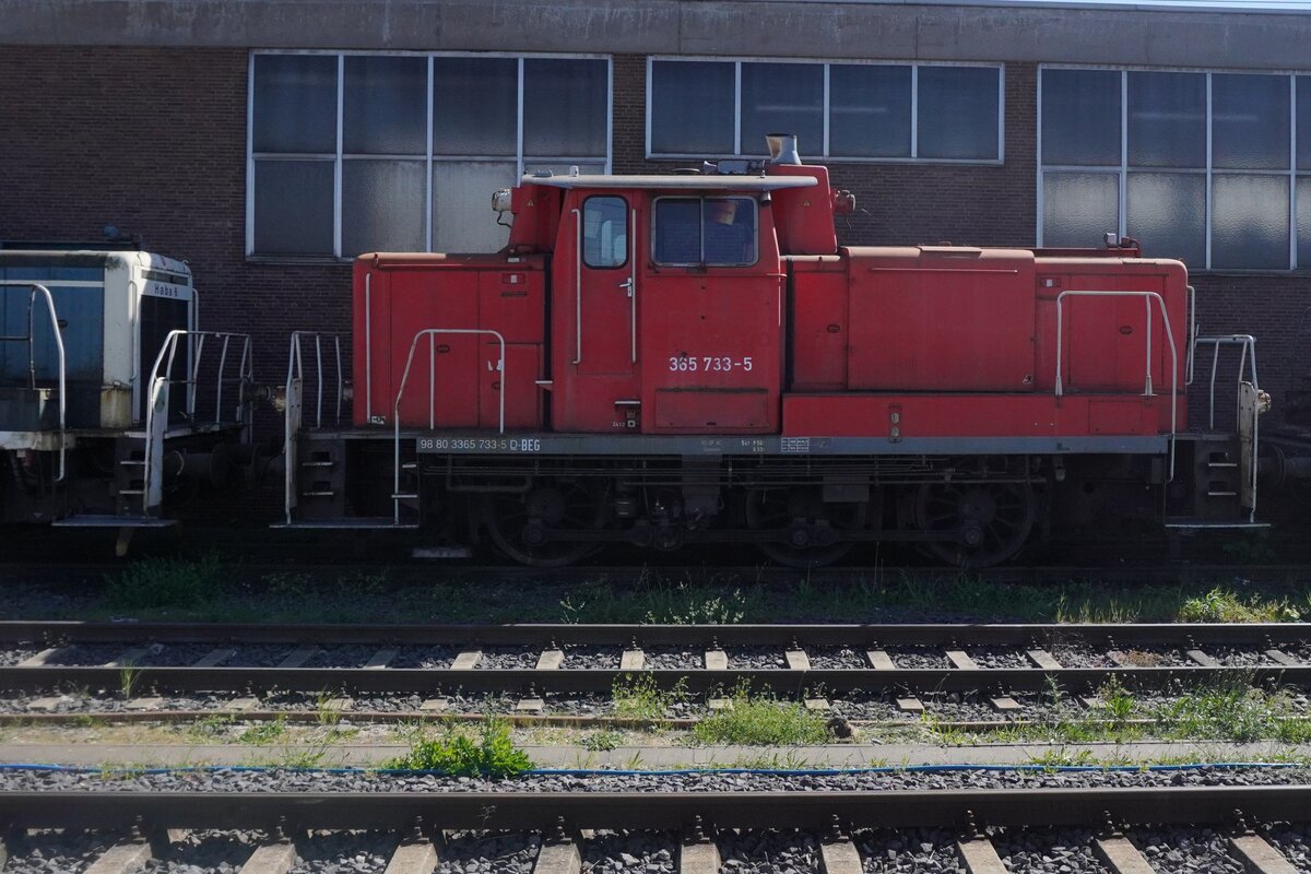 Former DB 365 733 stands parked at Neuwied on 30 April 2026.