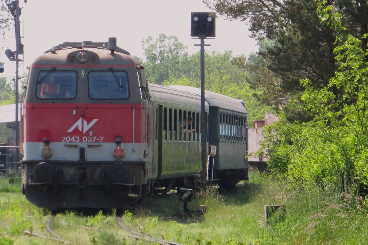 Former ÖBB 2043 037 shuttles with a train at the Heizhaus Strasshof on 21 May 2023.