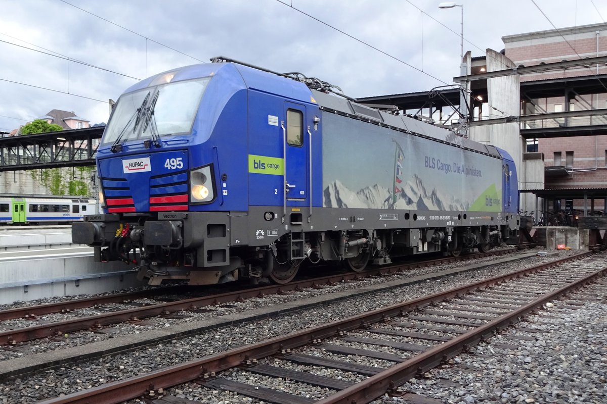 Frog's view on BLS 193 495 at Spiez on 28 May 2019.