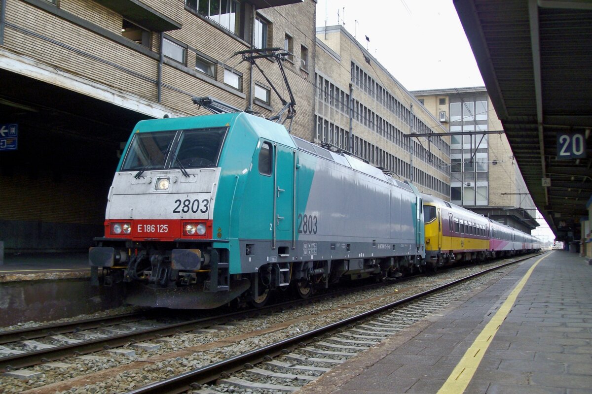 Frog's view on CoBRa 2803 with an IC-Benelux on 11 September 2009 at Bruxelles-Midi.