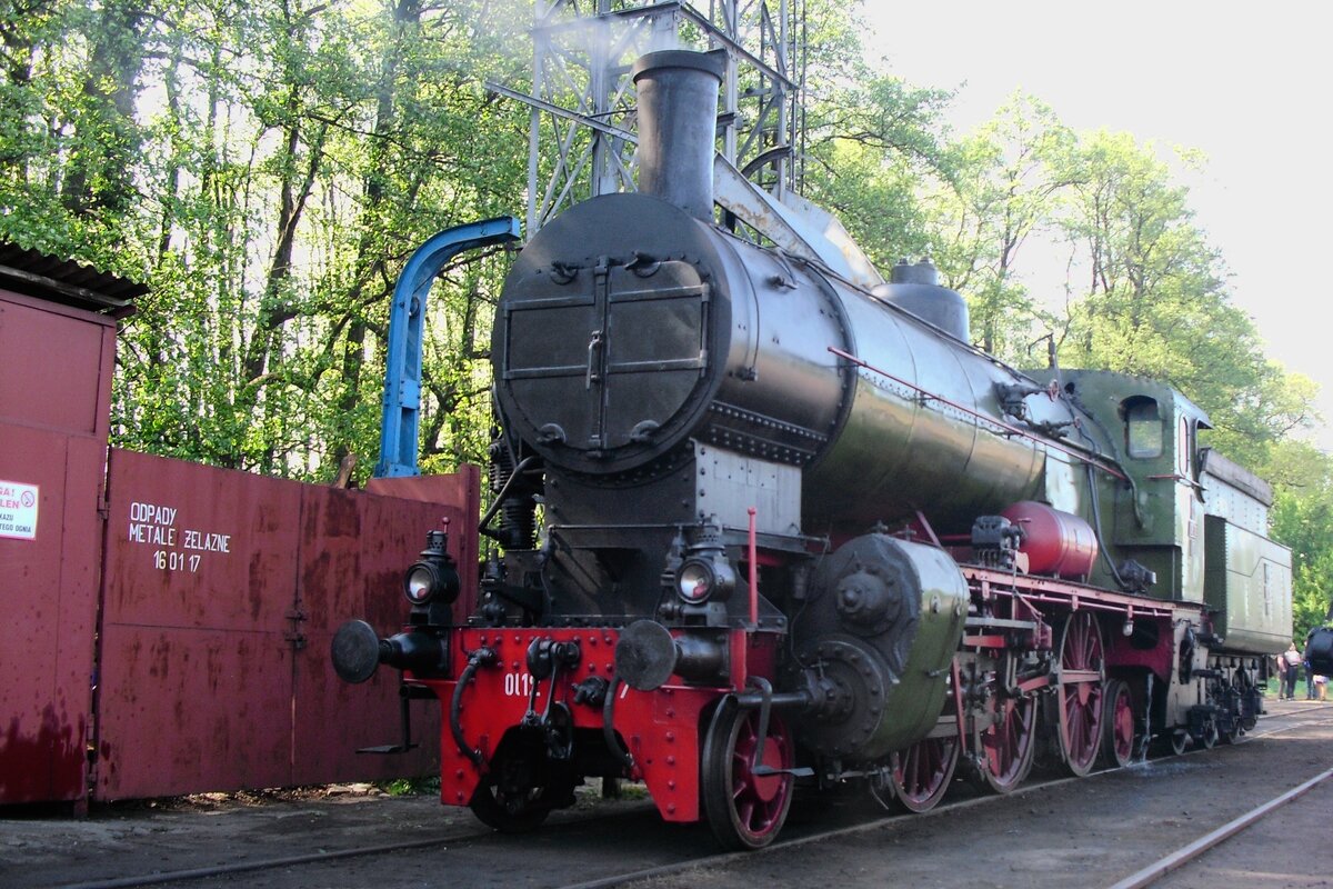 Frog's  view on Ol12-7 at Wolsztyn on 30 April 2011. This engine took part in film footage of 'Schindler's  List' and was especially restored to operational condition for this very impressive movie.