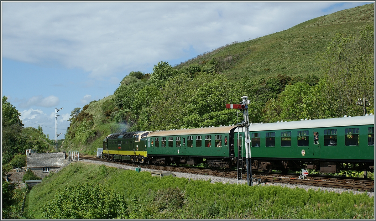 Impession of the Diesel Gala by Corfe Castle. 
08.05.2011