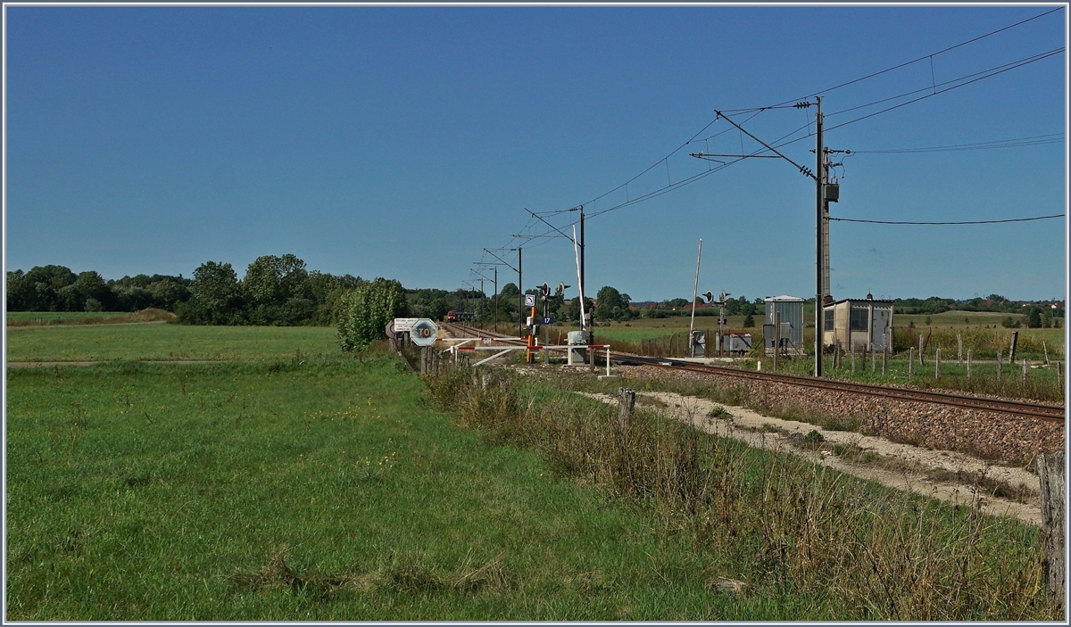 In the expanse of the French Jura, a secondary road crosses the SNCF line Frasne - Pontarlier. As the barrier lowers, one can see a train approaching far in the background, very small.<br><br>August 21, 2019