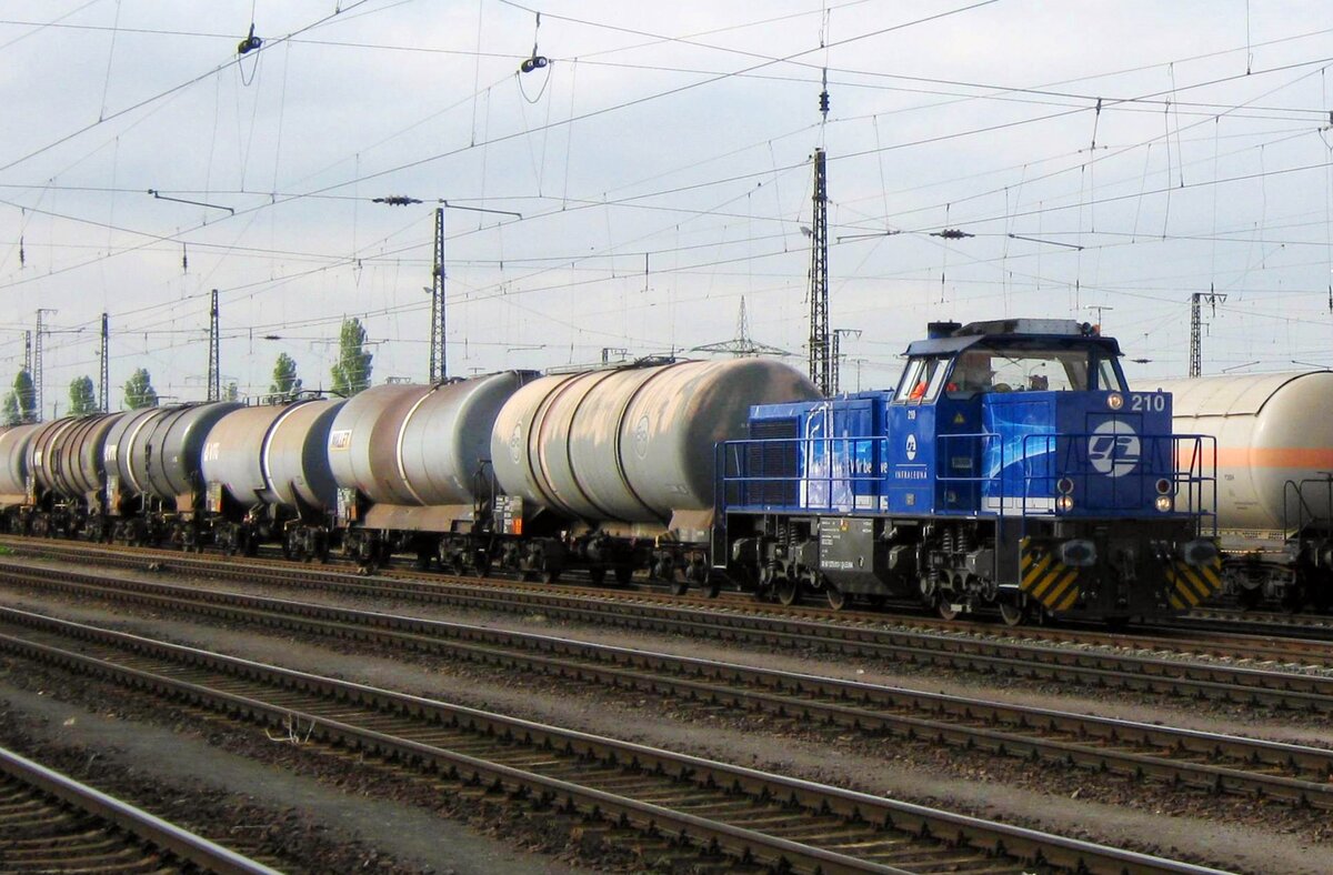 Infraleuna 210 shunts at Grosskorbetha on 31 May 2010.