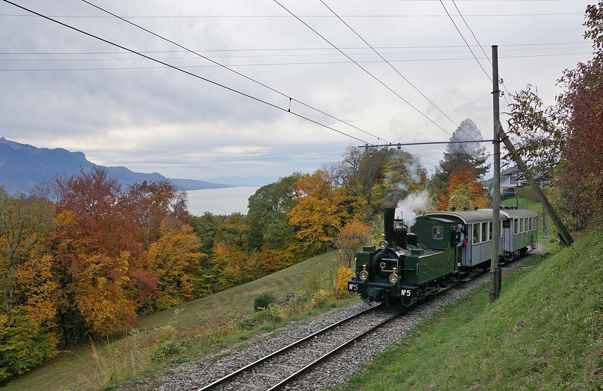 LA DER 2020 by the Blonay-Chamby: The LEB G 3/3 N° 5 with his train is Chantemerle by  Blonay on the way to Chaulin. 

25.10.2020