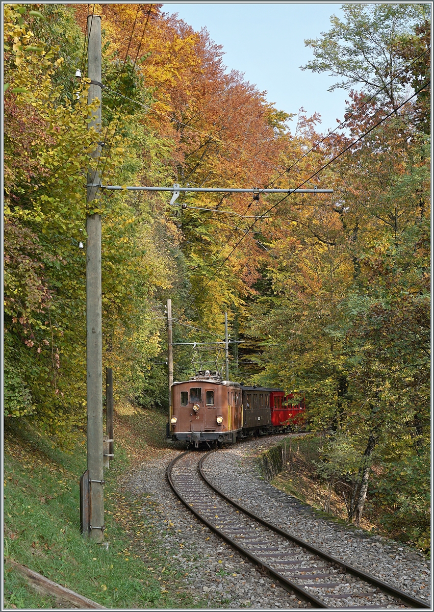 LA DER 2020 by the Blonay-Chamby: The BOB HGe 3/3 29 on the way to Blonay in the wood near Chantemele. 

24.10.2020