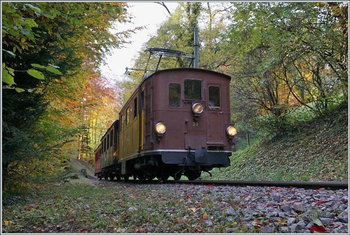 LA DER 2020 by the Blonay-Chamby: The Blonay-Chamby BOB HGe 3/3 29 near Vers chez Robert in the wood over Blonay on the way to Chaulin.

25.10.2020