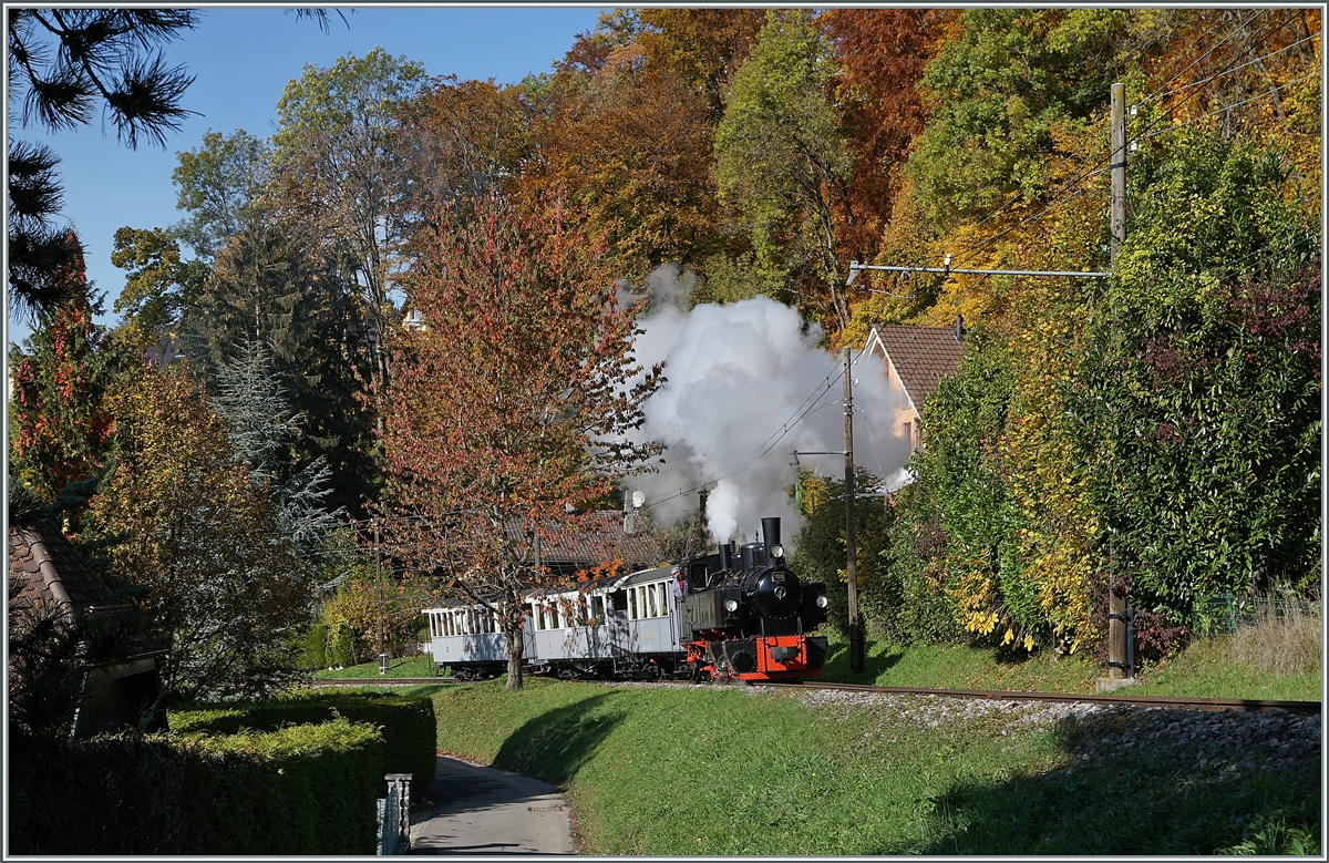 LA DER 2020 by the Blonay-Chamby: The Blonay-Chamby G 2x 2/2 105 on the way to Chaulin near Blonay. 

25.10.2020