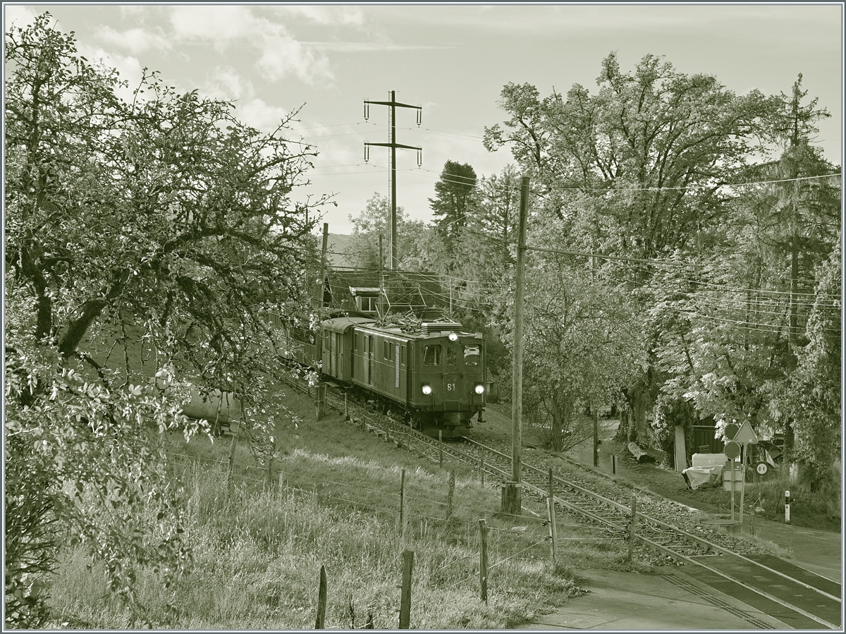  La DER de la Saison 2023  - The Bernina Bahn RhB Ge 4/4 81 on the Blonay Chamby Bahn is on the journey from Chaulin to Blonay with its  Bernina Express  near Cornaux.

Oct 28, 2023