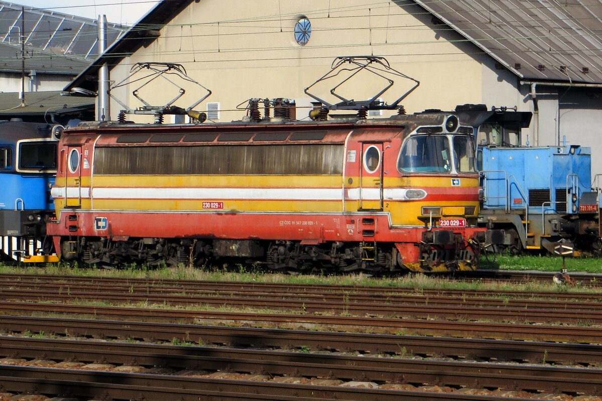  Le Vieux Garde perdú, mais ne rend pas  ( the Old Guard dies, but yields not ) -a supposed quote of Napoleon's  Old Guard at the closing stages of the Battle of Waterloo. On 27 August 2021, CD 230 029 -still sporting her original colours- is one of the few Class 230s that still  yields not  -and will pass a row of at least nine decommissioned and partly cannibalised sister engines at Breclav.