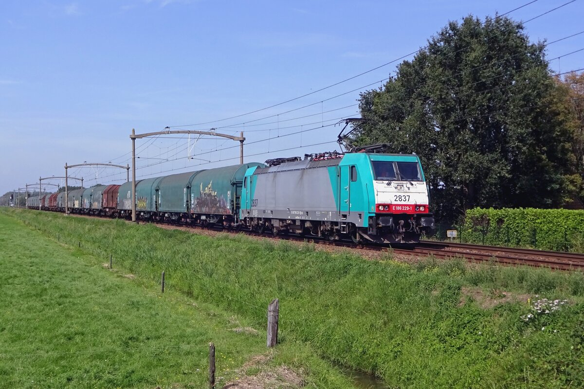 Lineas 2839 hauls a steel train through Hulten toward Bad Bentheim on 23 August 2019.