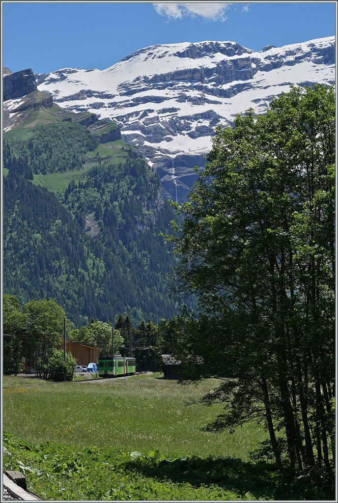 Little train big mountains by Les Diablerets.
22.06.2016