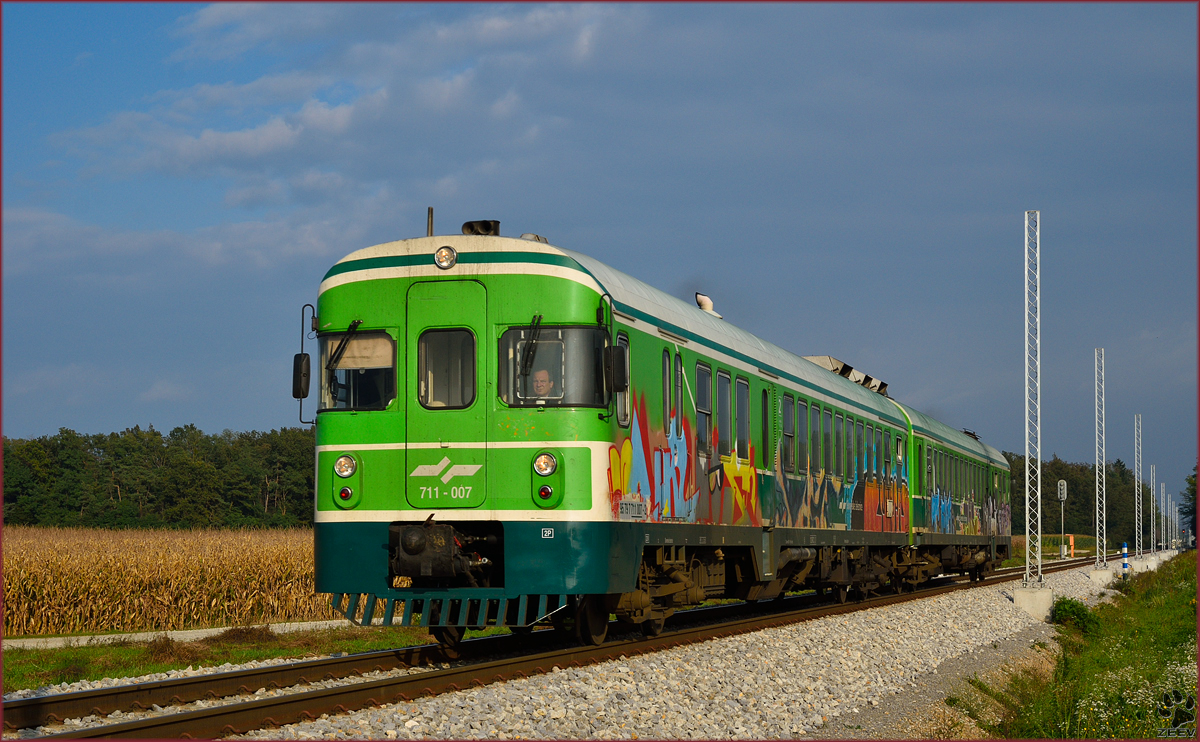 Multiple units 711-007 run through Cirkovce-Polje on the way to Maribor. /2.10.2014