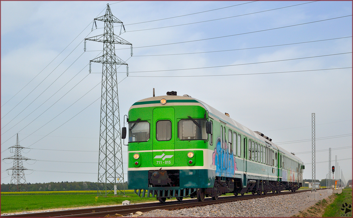Multiple units 711-015 are running through Cirkovce on the way to Maribor. /4.4.2014