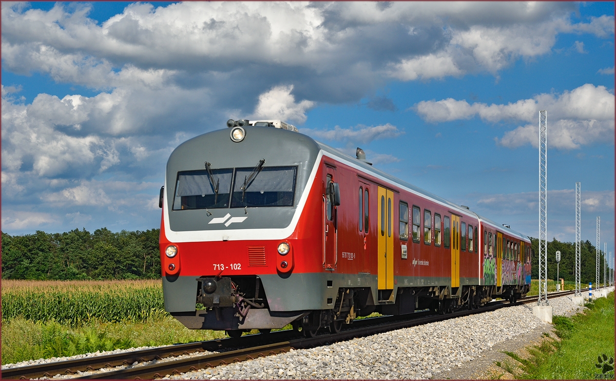 Multiple units 713-102 run through Cirkovce-Polje on the way to Maribor. /18.8.2014