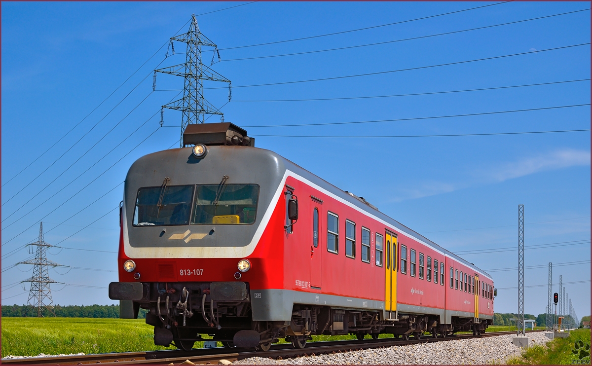 Multiple units 813-107 are running through Cirkovce on the way to Maribor. /6.5.2014