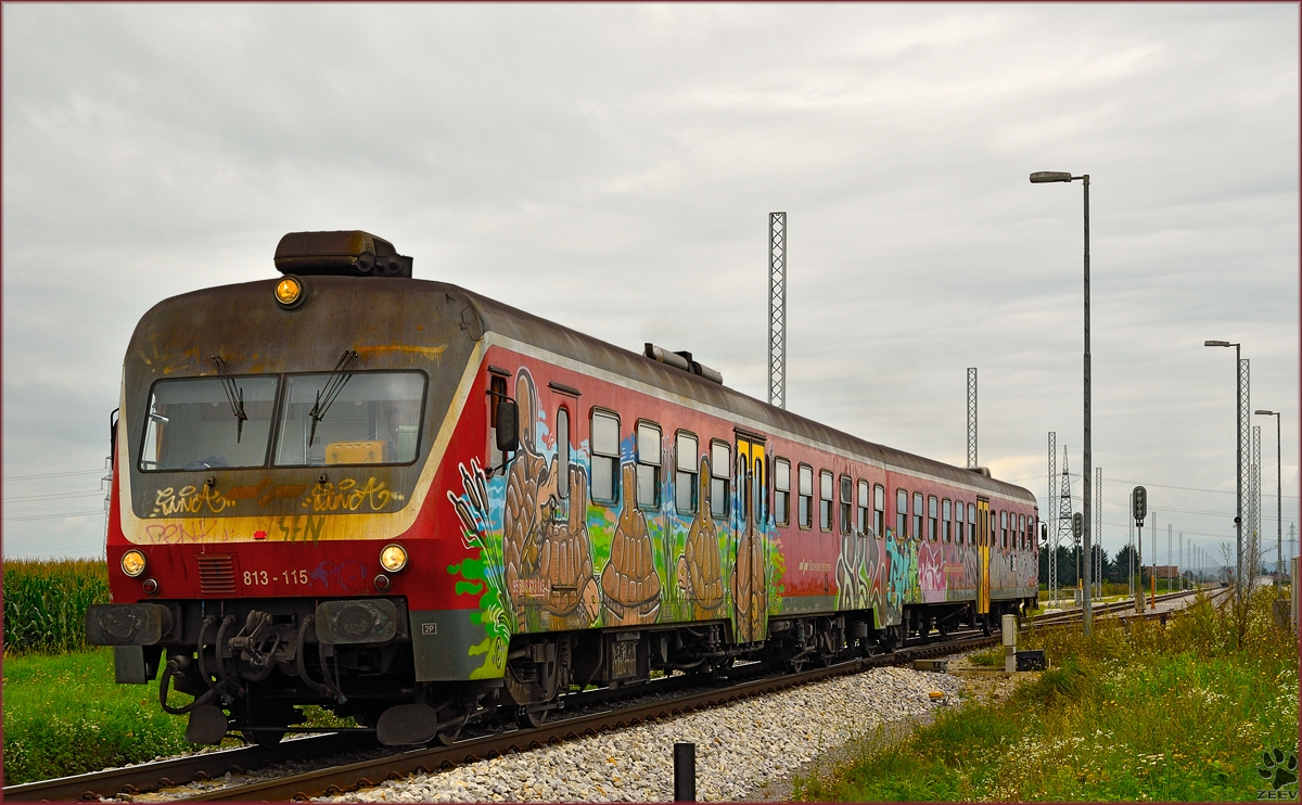 Multiple units 813-115 run through Cirkovce-Polje on the way to Ormož. /22.8.2014