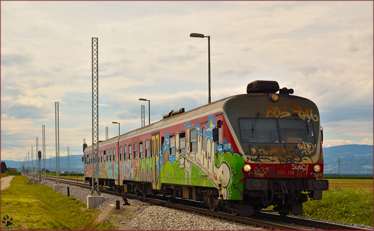 Multiple units 813-116 run through Cirkovce-Polje on the way to Ormož. /11.7.2014