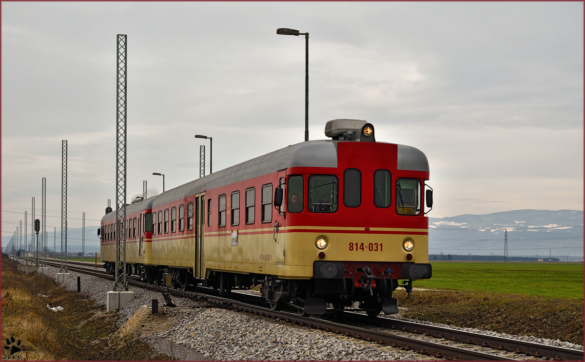 Multiple units 814-031 run through Cirkovce-Polje on the way to Ormož. /29.1.2015