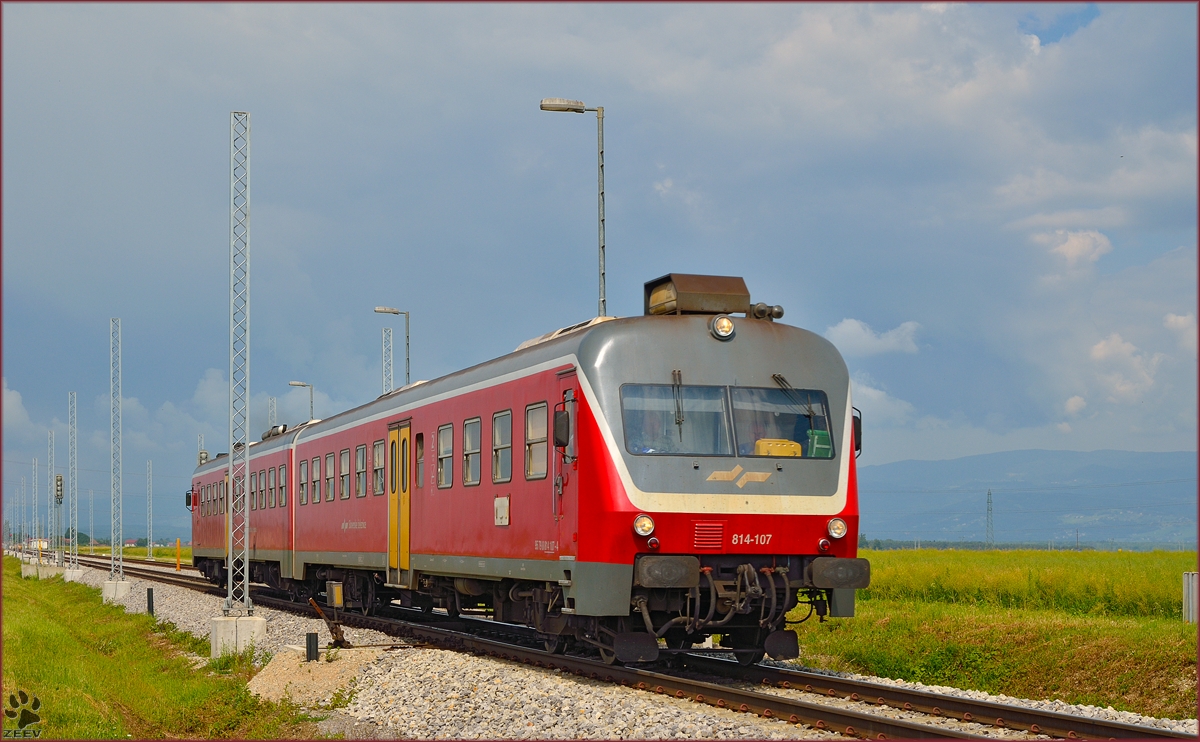 Multiple units 814-107 are running through Cirkovce-Polje on the way to Ormož. /3.6.2014