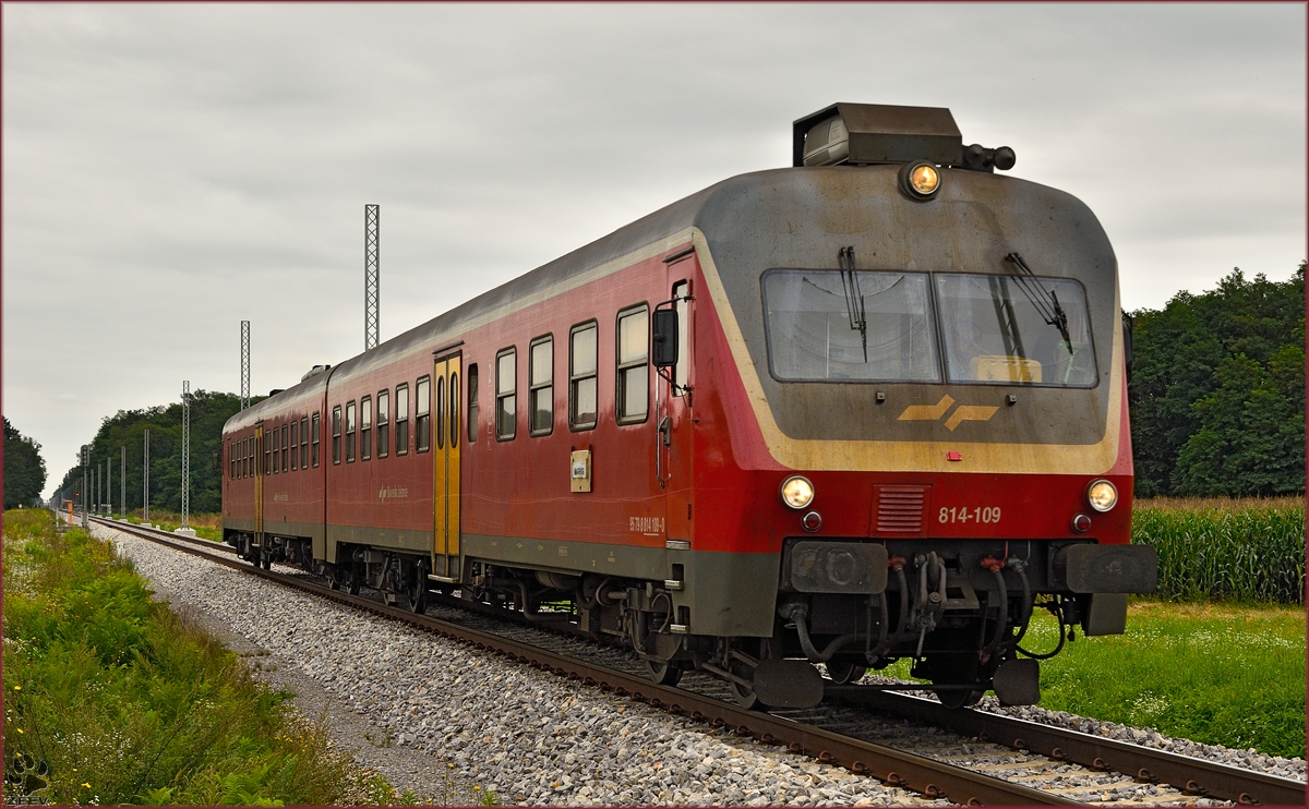 Multiple units 814-109 run through Cirkovce-Polje on the way to Maribor. /22.8.2014