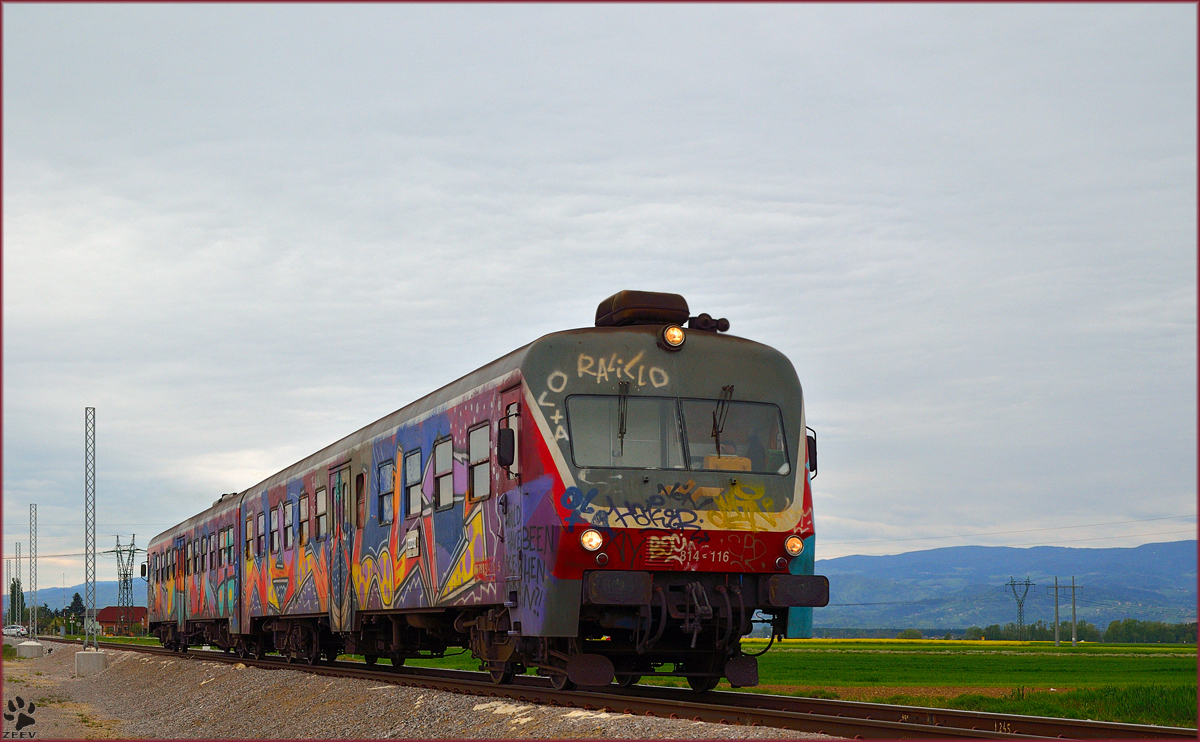 Multiple units 814-116 are running through Cirkovce on the way to Ormož. /17.4.2014