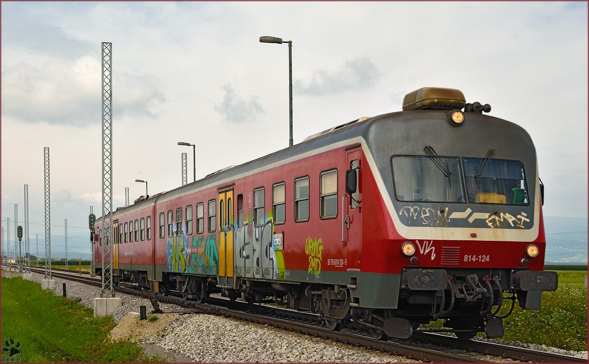 Multiple units 814-124 run through Cirkovce-Polje on the way to Ormož. /29.7.2014