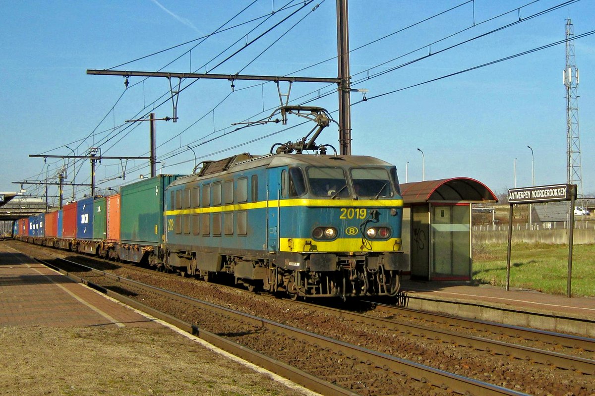 NMBS 2019 roars with a container train through Antwerpen-Noorderdokken on 23 March 2011.