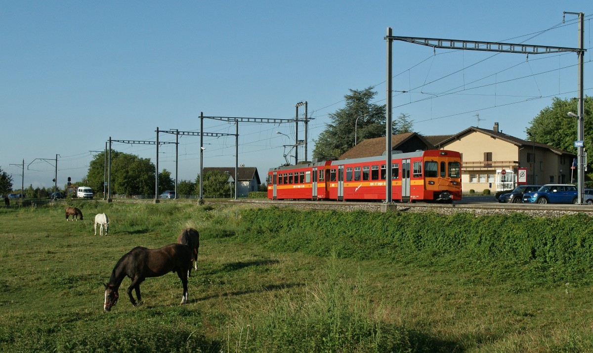 NStCM local Train in Trlex. 
28.08.2013