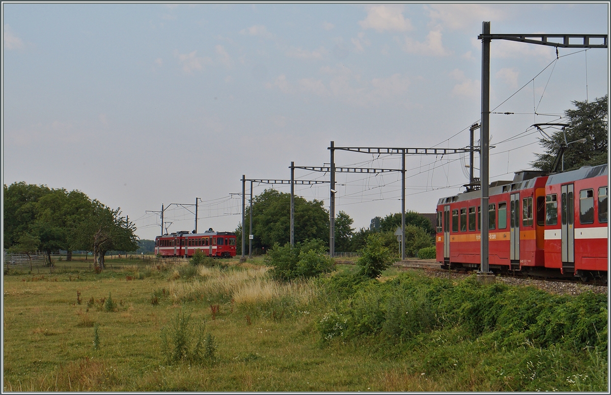 NStCM local trains by Trelex. 
06.07.2015 