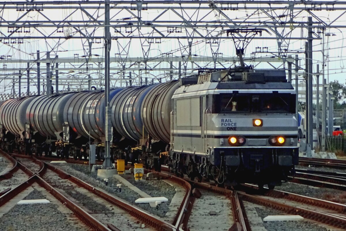 Oil train headed by RFO 1829 passes through 's-Hertogenbosch toward Kijfhoek on the evening of 4 August 2019.