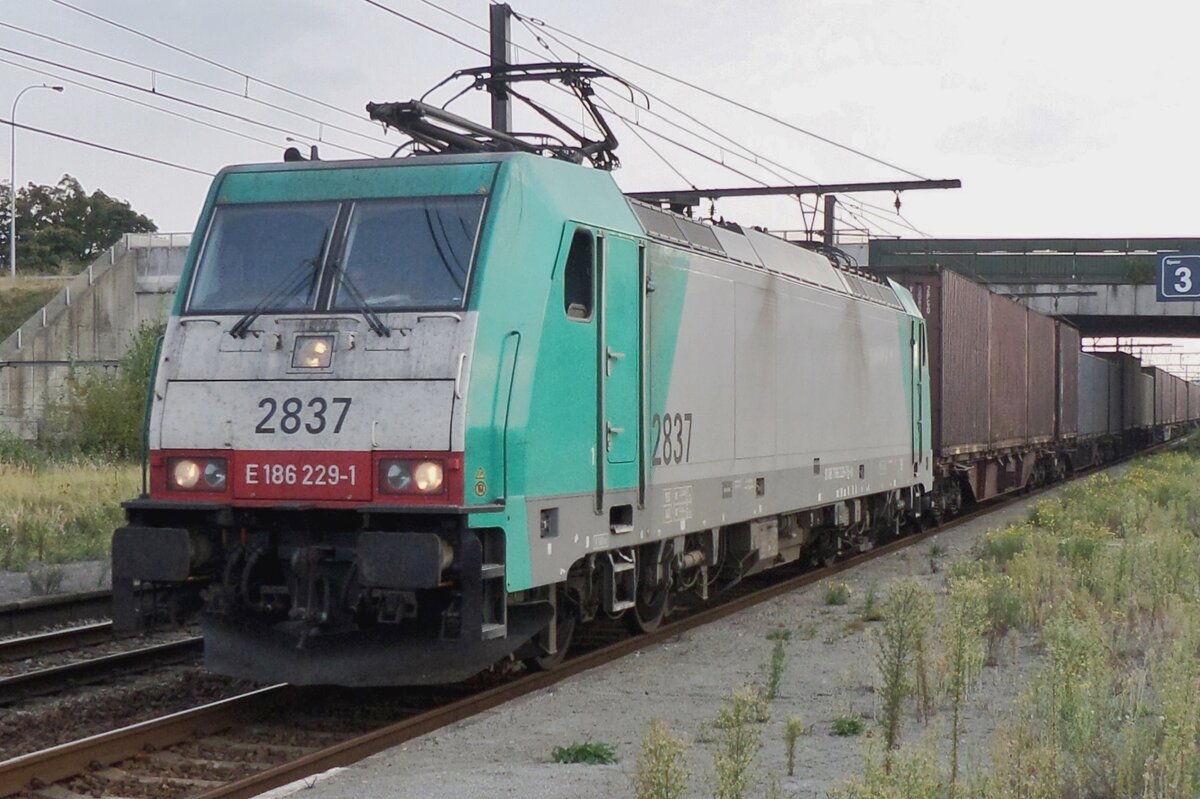 On 21 September 2016 Volvo container train to Bad bentheim via Roosendaal, Utrecht and Hengelo is hauled by 2837 and passes Antwerpen-Noorderdokken.