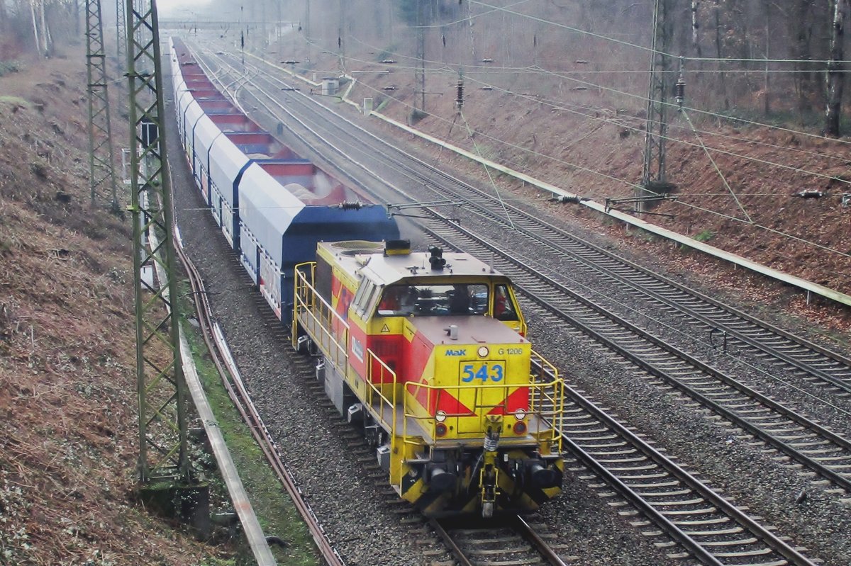 On 30 January 2018 Thyssen 543 hauls a block train through Duisburg and passes the ZOO.