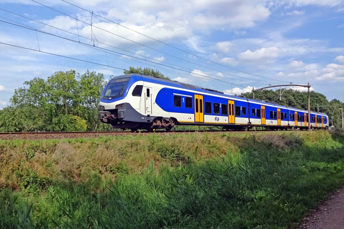 On 4 August 2019 NS 2505 speeds through Tilburg Oude Warande.