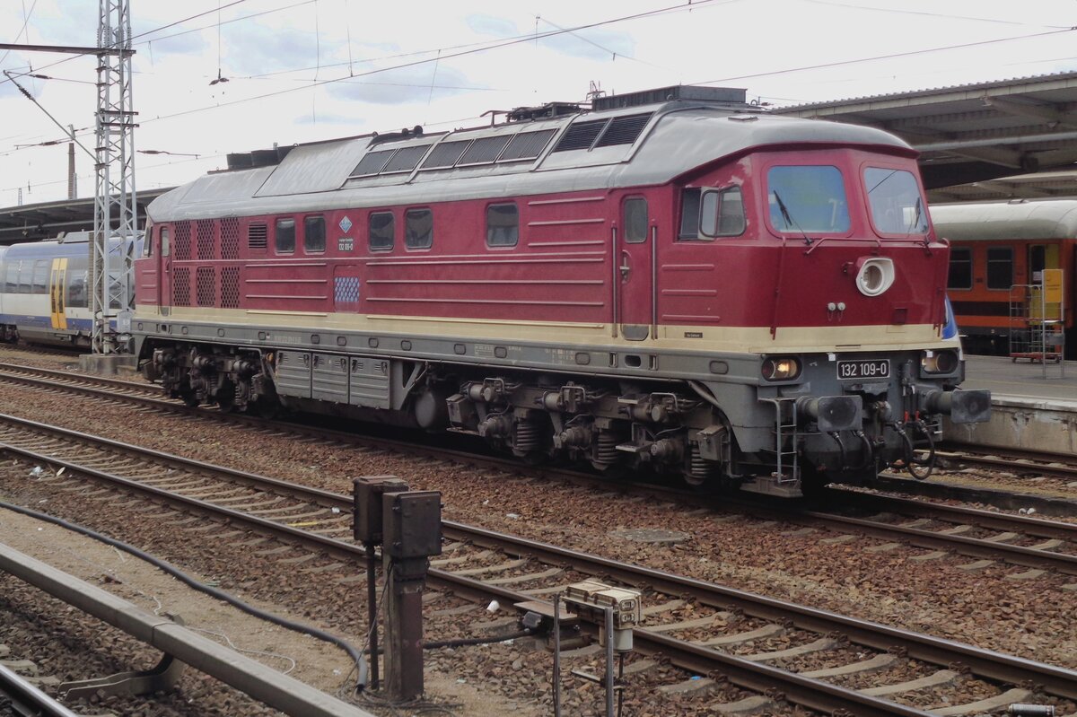 On 5 April 2018 Leipziger Eisenbahn 132 009 takes a breather at Berlin-Lichtenberg.