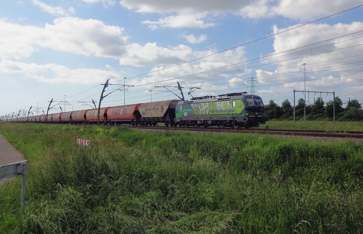 On 6 June 2021, LTE 193 729 hauls a cereals train through Valburg.