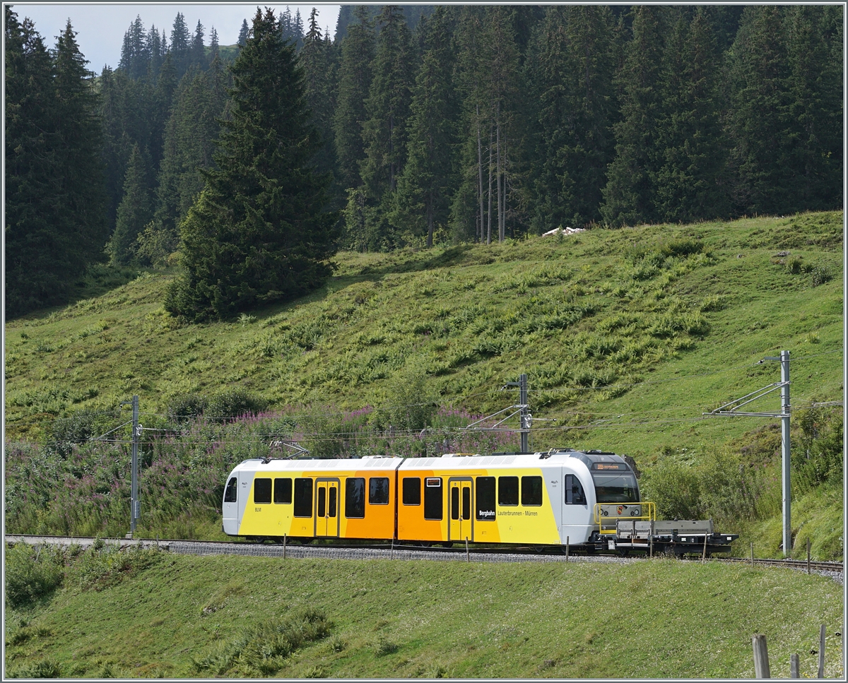 On the same place by Winteregg, but by a better weather is the new BLM Be 4/6 101  Eiger  on the way to the Grütschalp. 

08.08.2024
