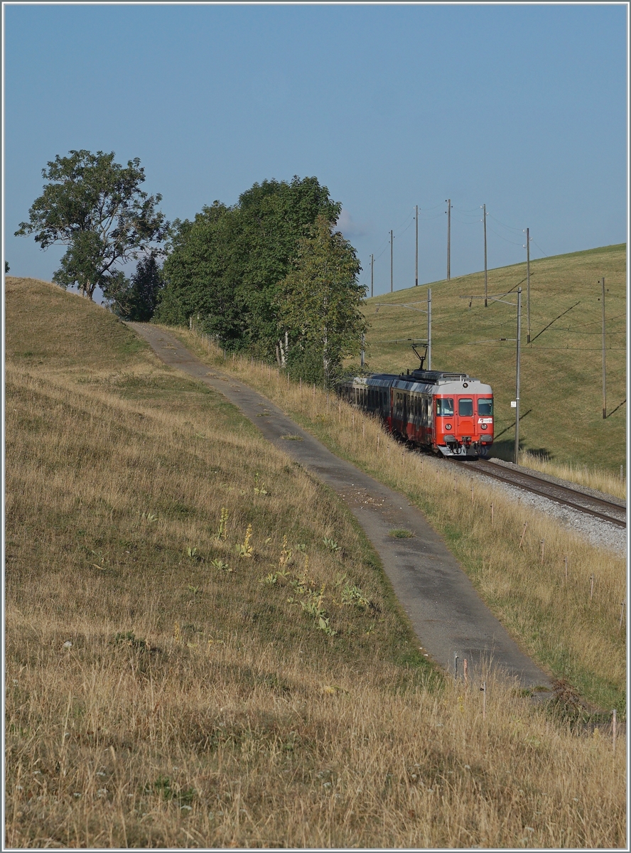 One of the last service for the TRAVYS RBDe 567 174 (94 85 7567 174-8)  Fleurier  by Les Charbonieres on the way to Le Brassus.

21.07.2022 