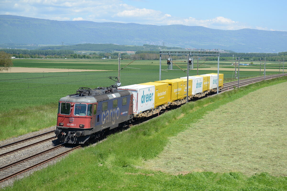 Re 420 246 Assurant un train Poste
Ici à Chavornay.

Photo Prise le 31 mai 2021


Re 420 246 Ensuring a Post train
Here in Chavornay.

Photo taken on May 31, 2021