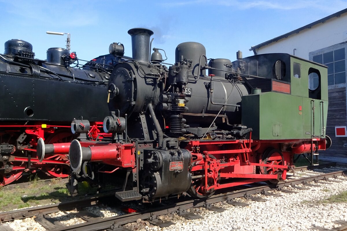 RIES (88 989) stands at the loco shed in the BEM Nördlingen, 2 June 2019.