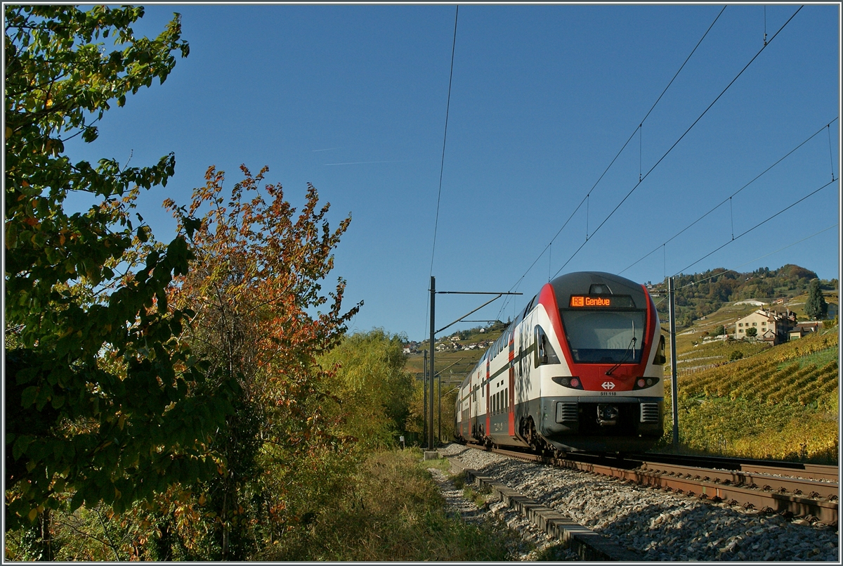 SBB  KISS  RABe 511 118 to Vevey by Epesses.
28.10.2013