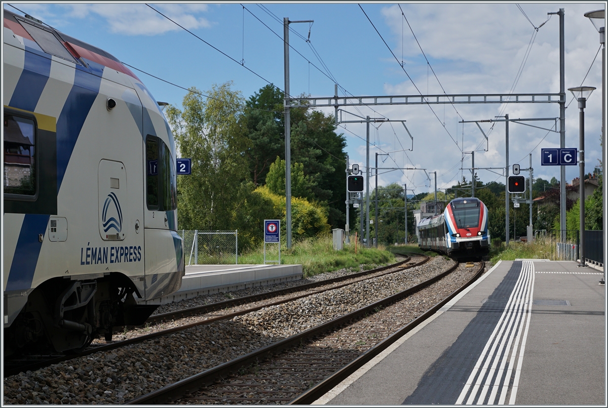 SBB LEX RABe 522 in Satigny on the way to La Plaine and Geneva. 

02.08.2021 