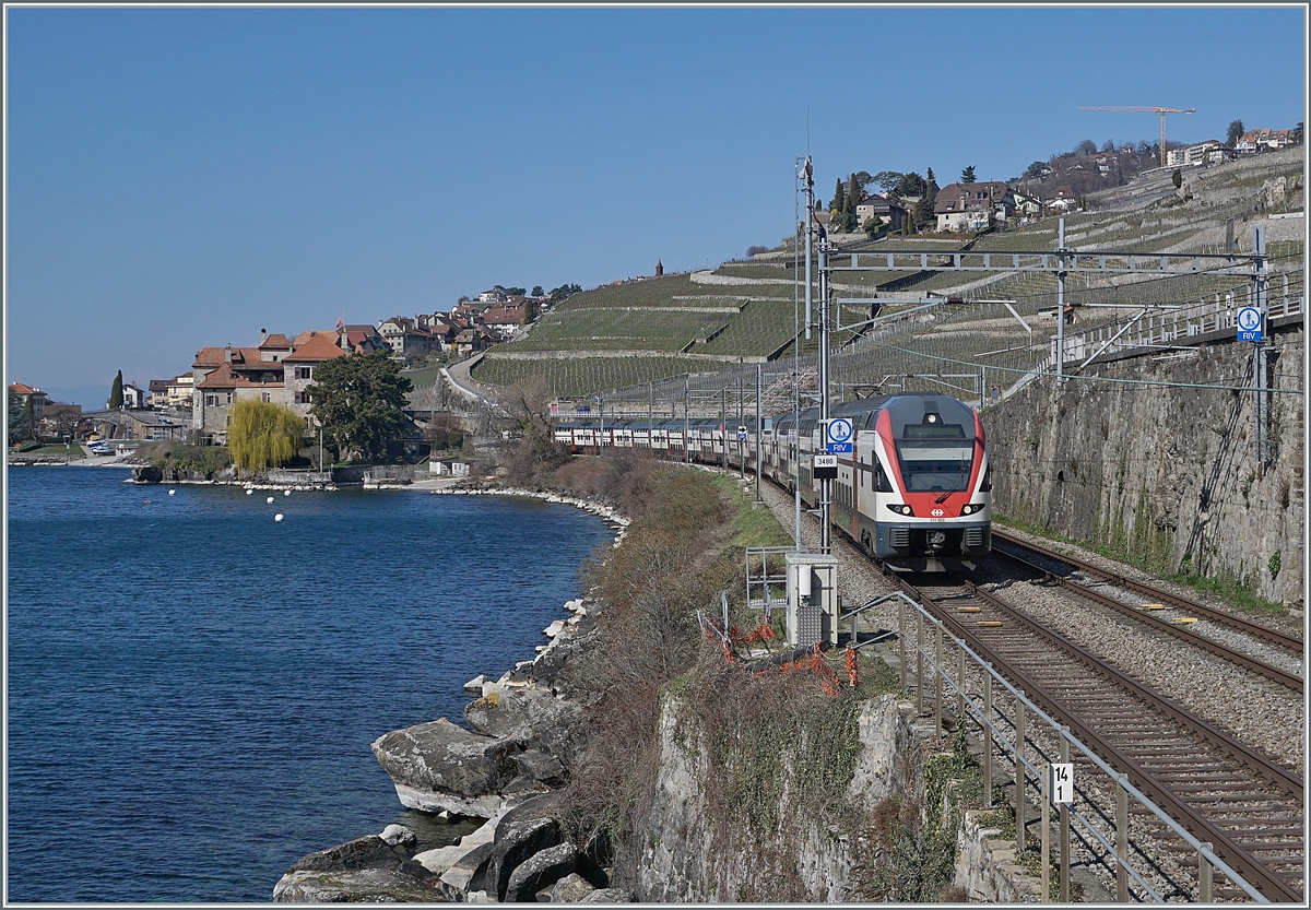 SBB RABE 511 511 020 and 019 are a RE from Geneva Airport to Fribourg via Vevey. This train runs between Rivaz and St Saphorin.

20.03.2021