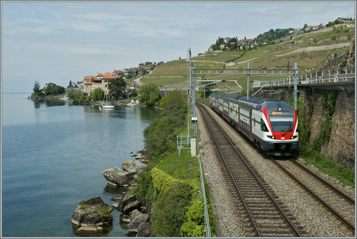 SBB RABe 511 between Rivaz and St Saphorin.
28.05.2013