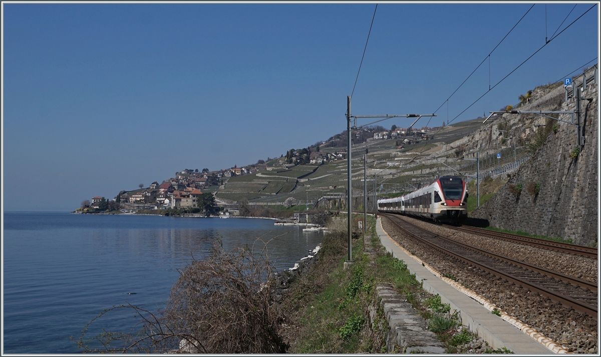 SBB RABe 523 Flirt between Rivaz and St Saphorin on the way to Aigle.

25.03.2022