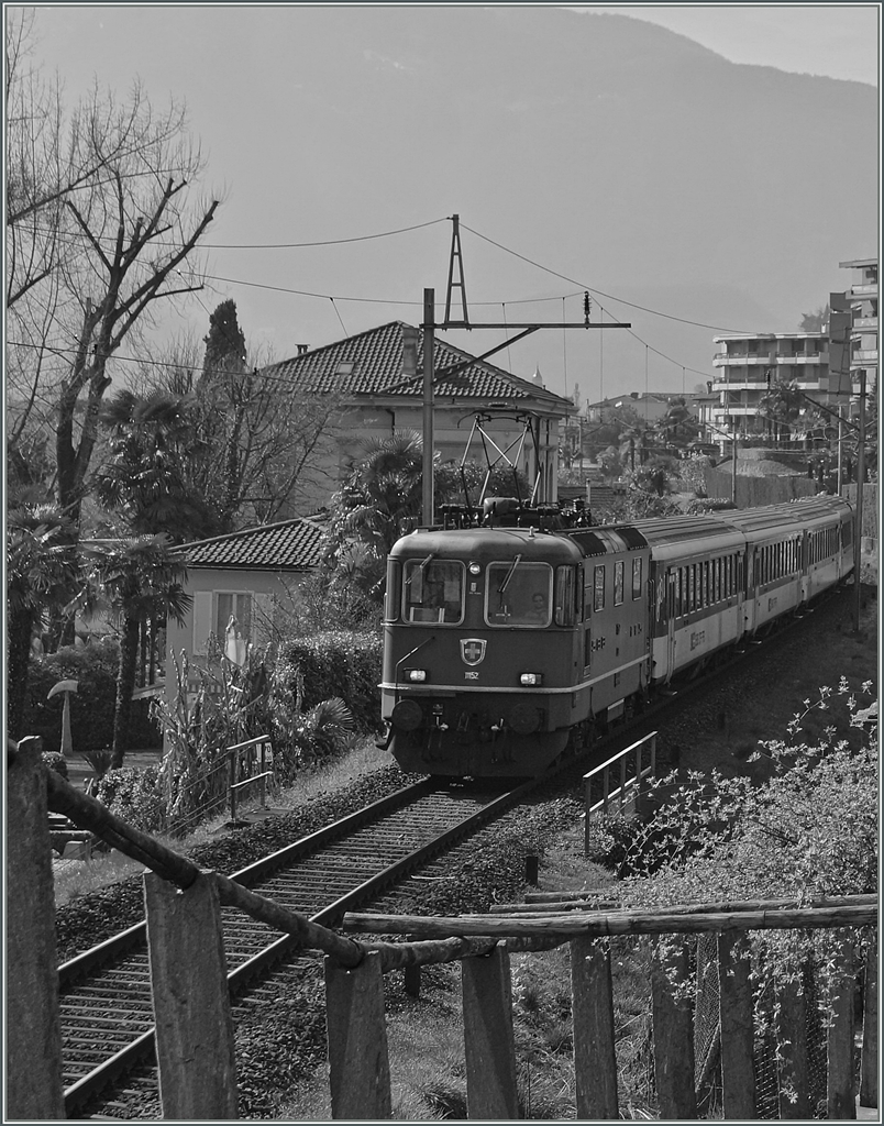 SBB Re 4/4 II with a local Train near Locarno. 
18. 03.2014