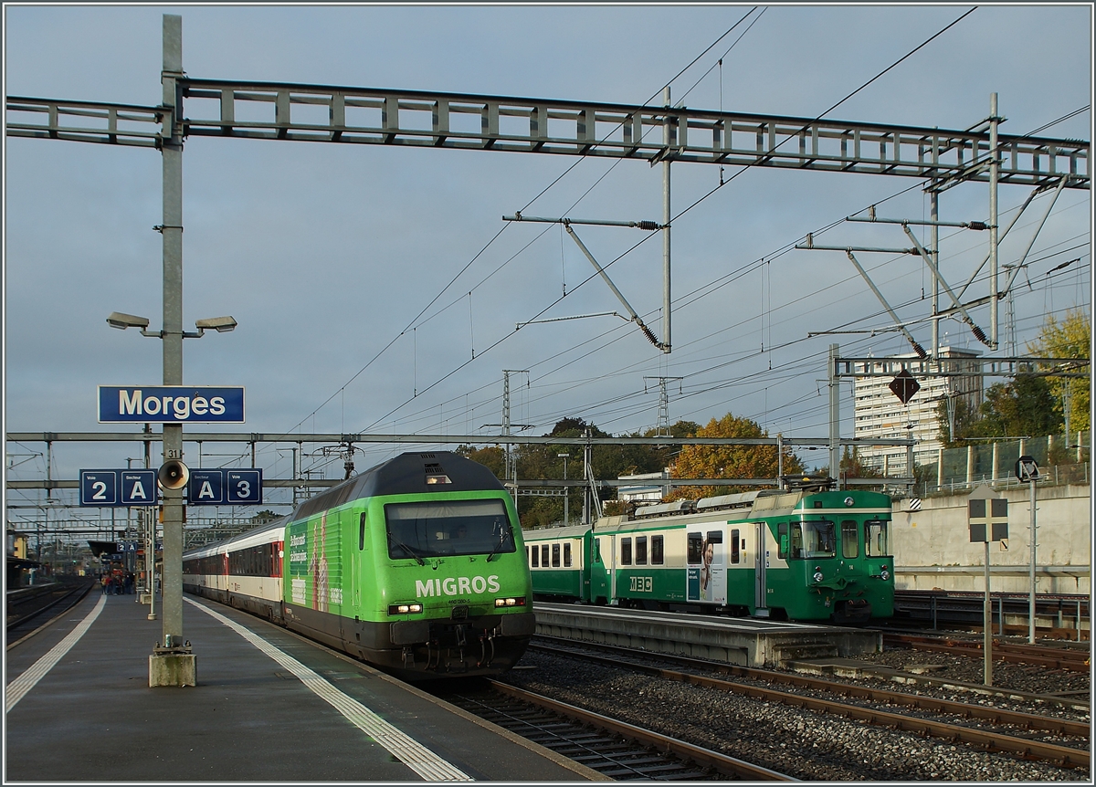 SBB Re 460 060-5 and BAM local train in Morges.
15.10.2014