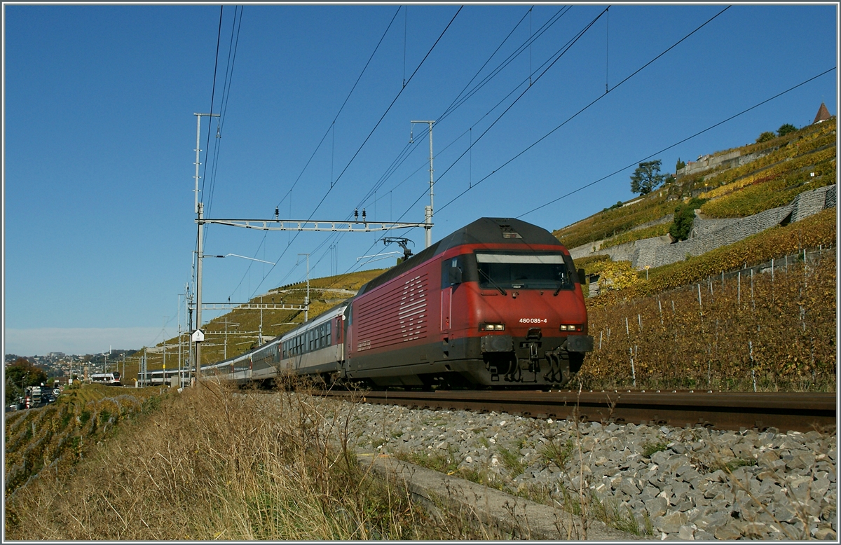 SBB Re 460 085-4 with an IR to Brig by Cully.
28.10.2013