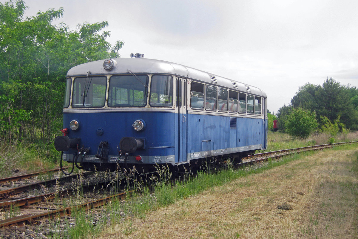 Schienenbus 8081.15 rides through the outstretched area of the heizhaus Strasshof on 28 May 2012, giving this rural picture within the boundaries of a railway museum.