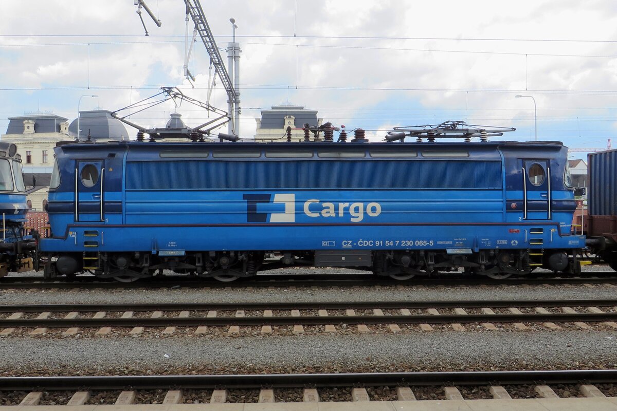 Side view on 230 065 at Plzen on 13 June 2022.